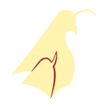Logo Capoerus